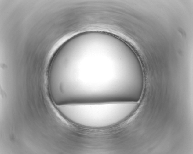 X0000090961517200708021111