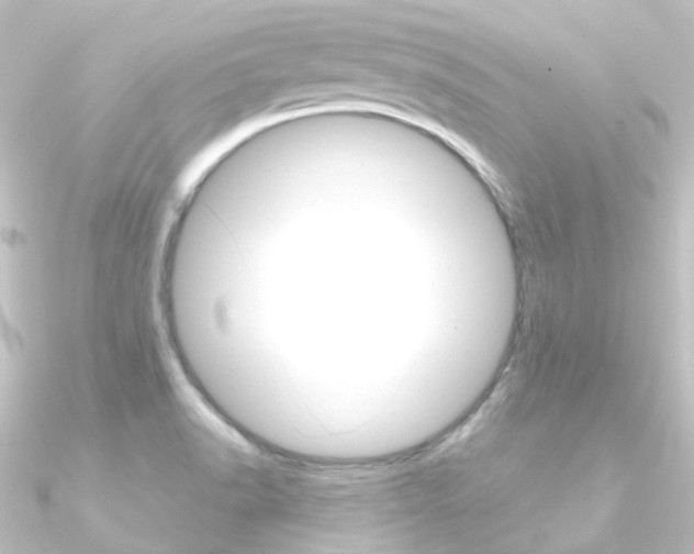 X0000090961518200708021111