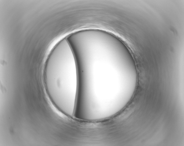 X0000090961519200708021111