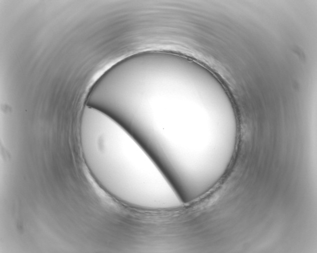 X0000090961521200708021111