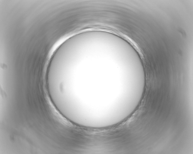 X0000090961522200708021111