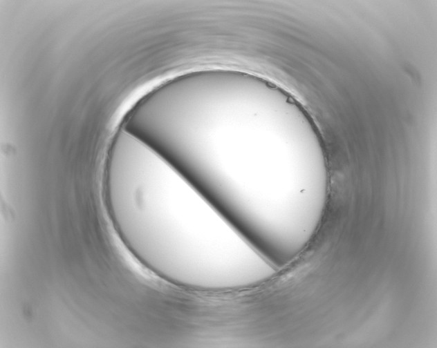 X0000090961523200708021111