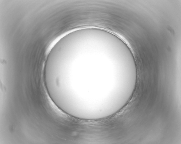 X0000090961524200708021111