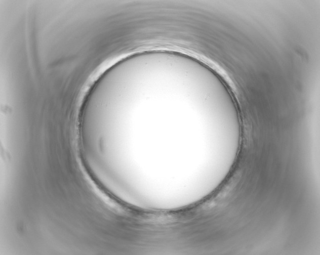 X0000090961525200708021111