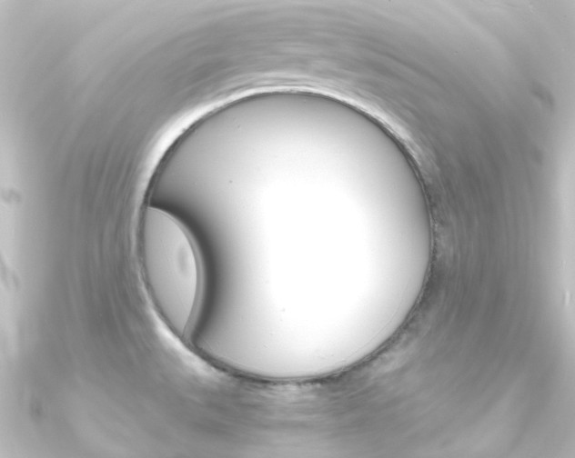 X0000090961527200708021111
