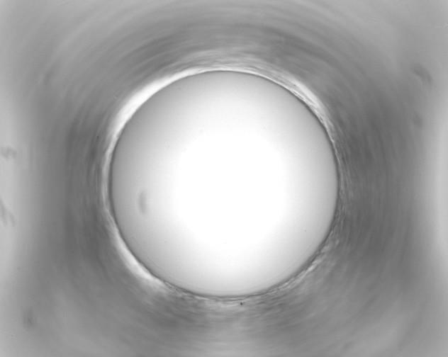 X0000090961528200708021111