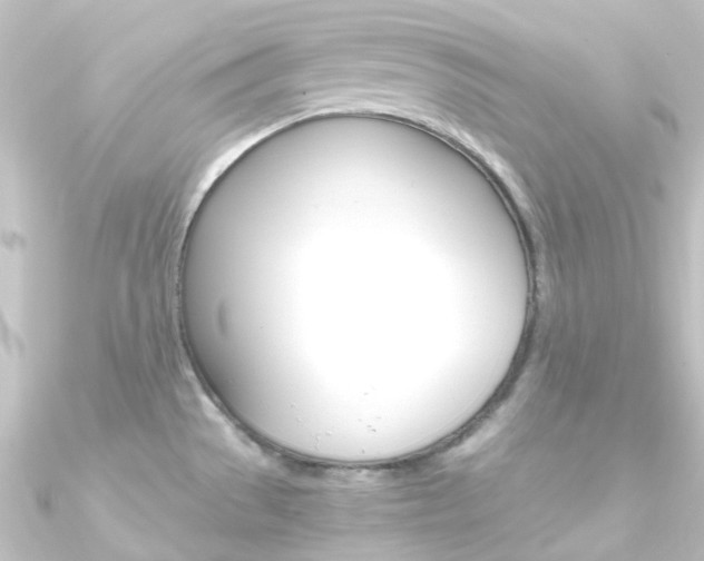 X0000090961529200708021111