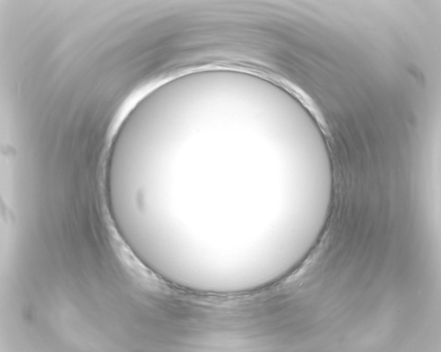 X0000090961530200708021111
