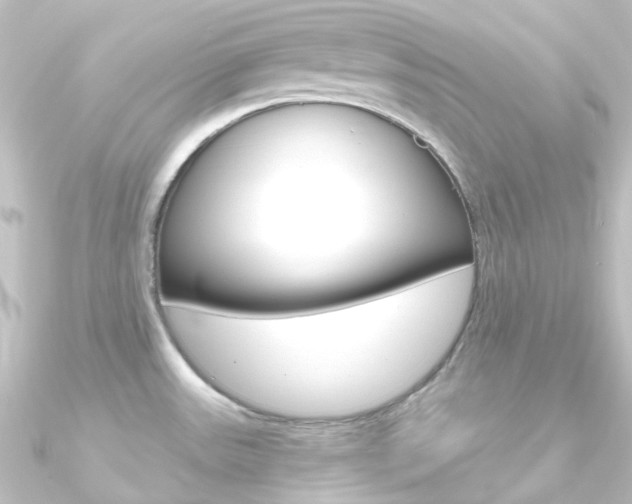 X0000090961531200708021111