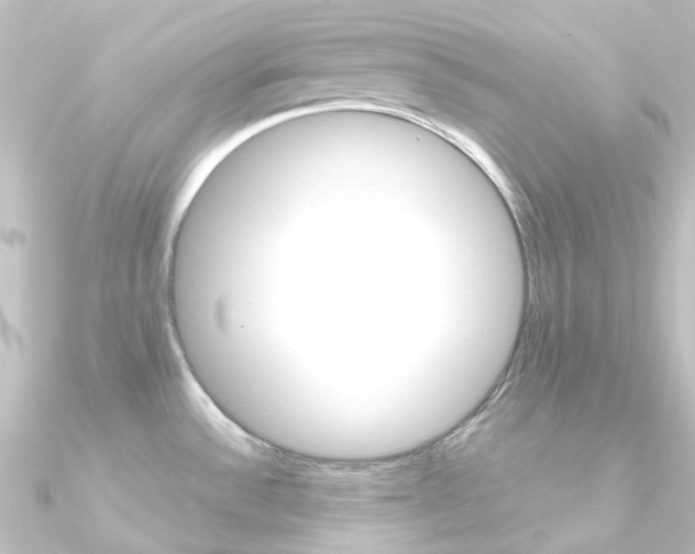 X0000090961532200708021111