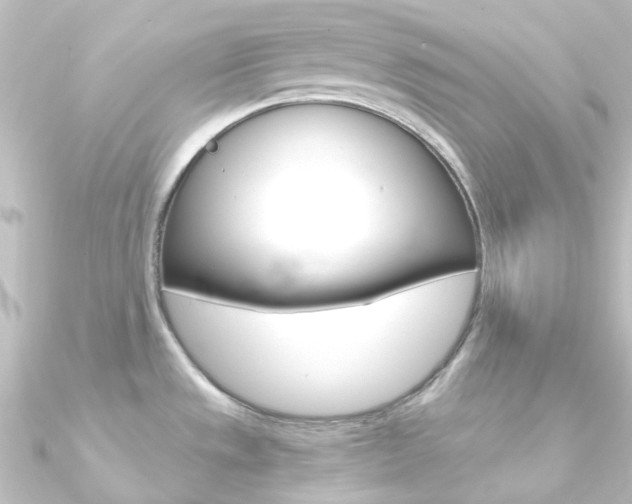 X0000090961533200708021111