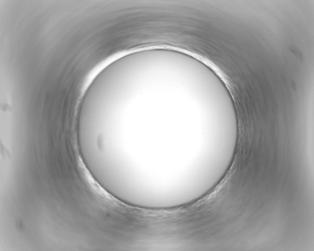 X0000090961534200708021111