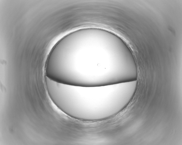 X0000090961535200708021111