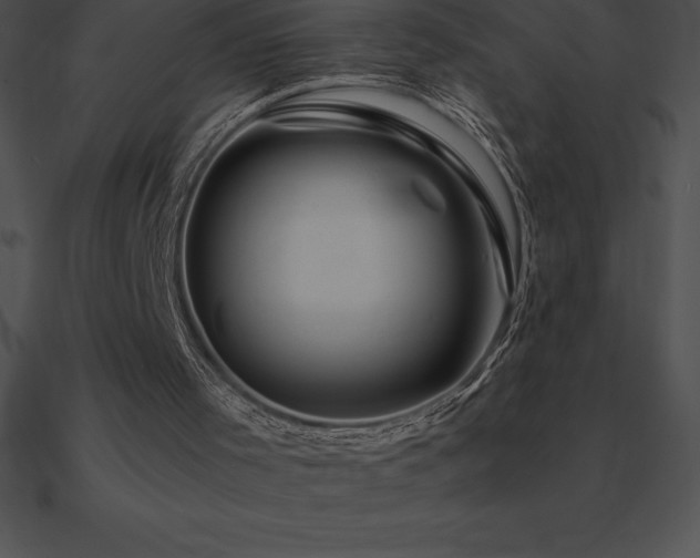 X0000090960001200708021426