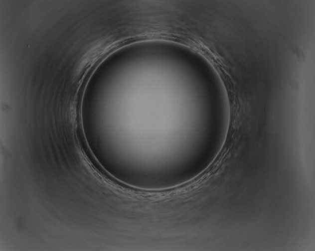 X0000090960002200708021426