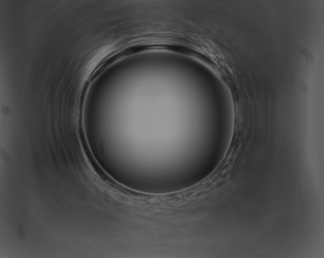X0000090960003200708021426