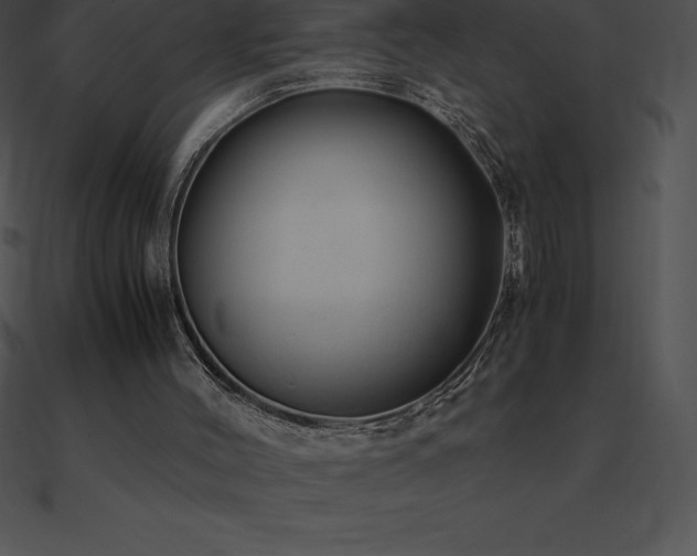 X0000090960004200708021426