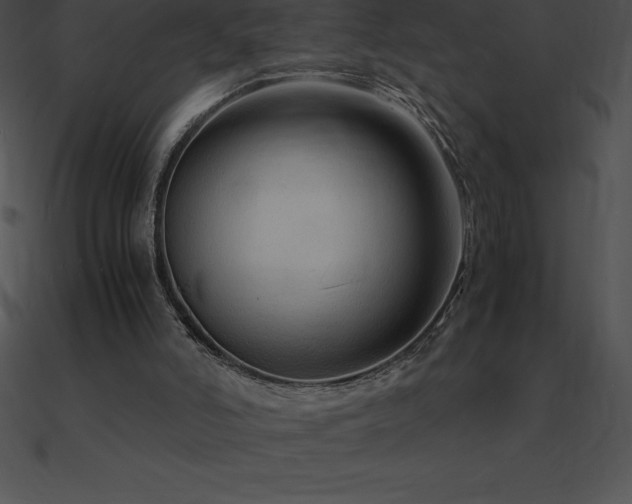 X0000090960006200708021426