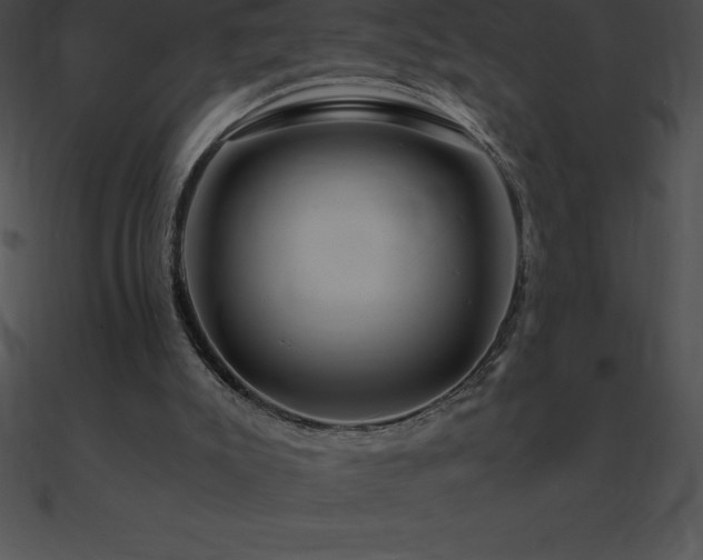 X0000090960007200708021426