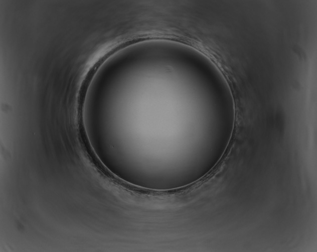 X0000090960008200708021426