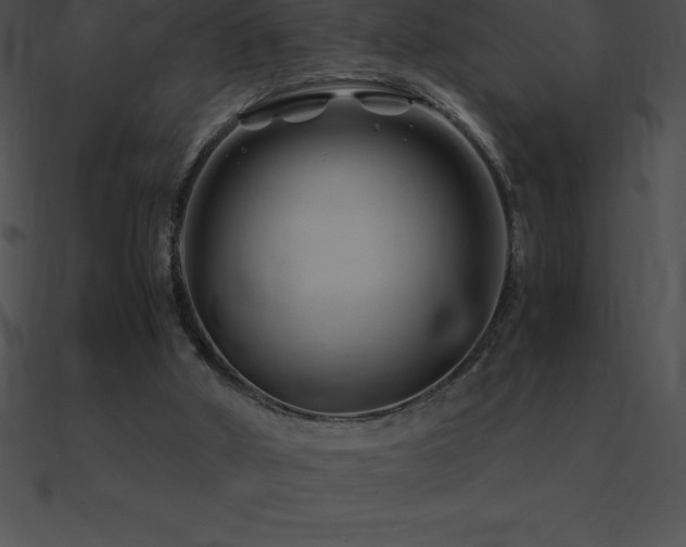 X0000090960010200708021426