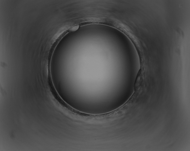 X0000090960011200708021426
