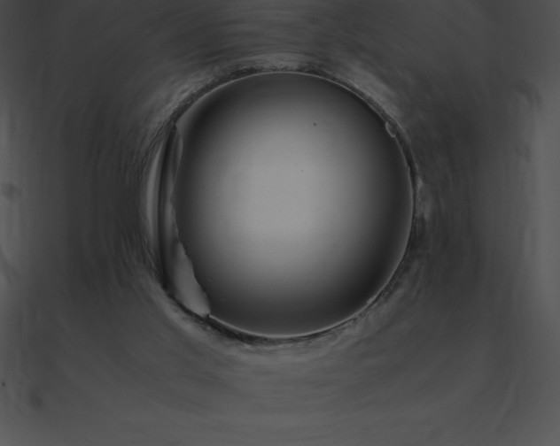 X0000090960013200708021426
