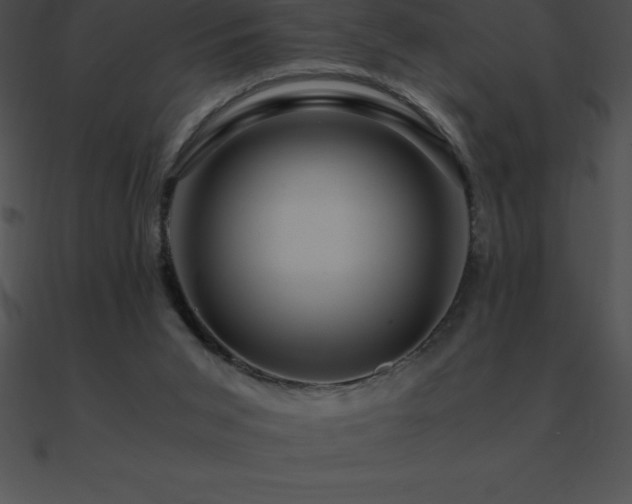X0000090960015200708021426