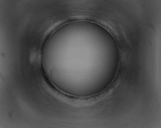 X0000090960016200708021426