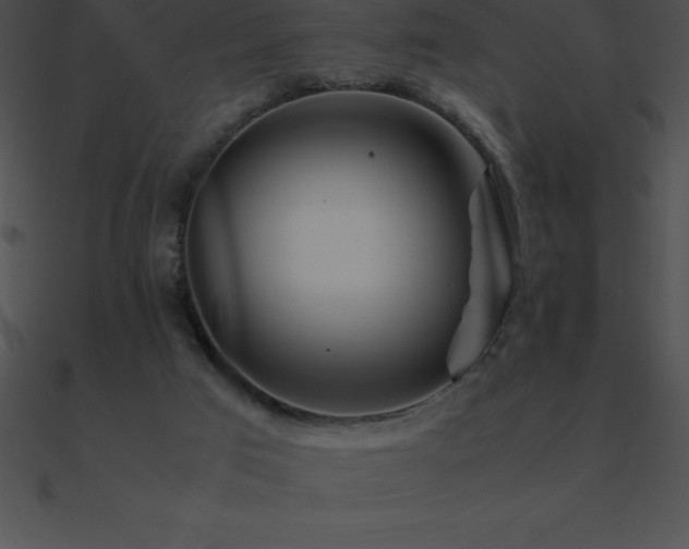 X0000090960017200708021426