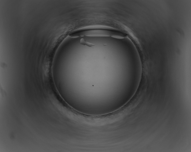 X0000090960018200708021426