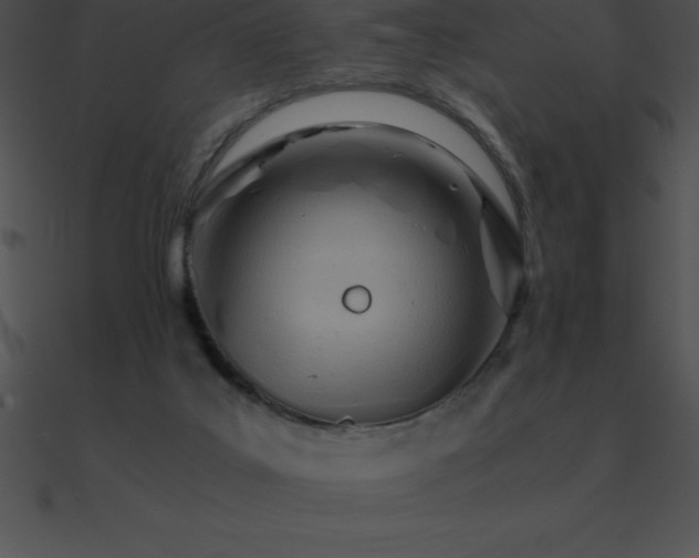 X0000090960019200708021425