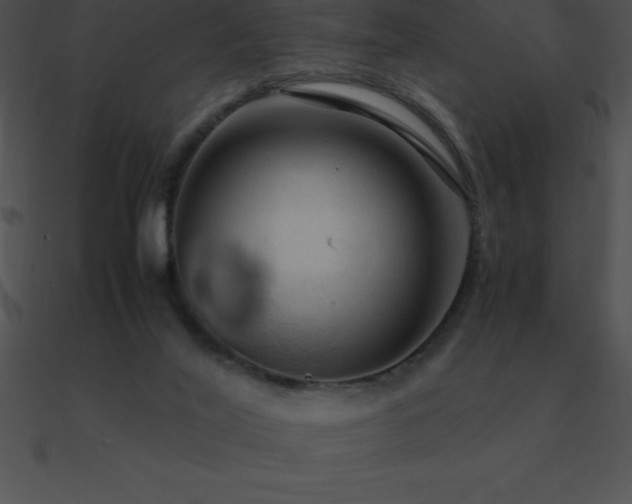 X0000090960020200708021425