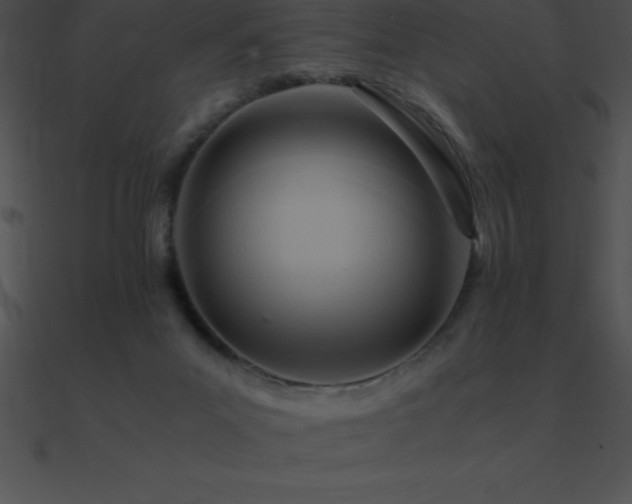 X0000090960023200708021425