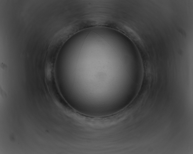 X0000090960026200708021425