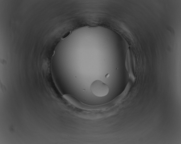 X0000090960029200708021425
