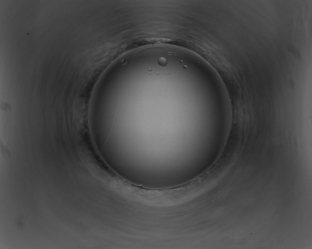 X0000090960030200708021425