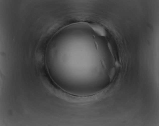 X0000090960031200708021425