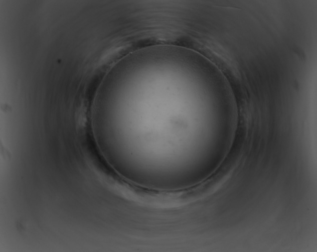 X0000090960032200708021425