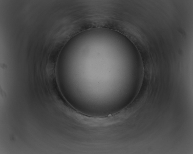 X0000090960034200708021425