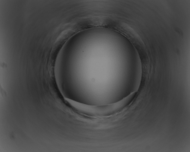 X0000090960035200708021425