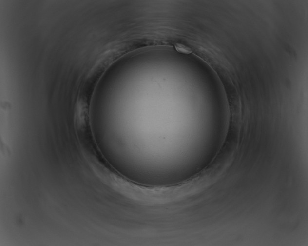 X0000090960038200708021425