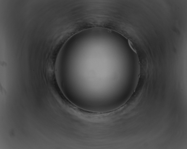 X0000090960040200708021425