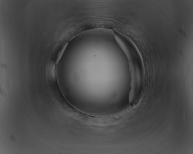 X0000090960041200708021425