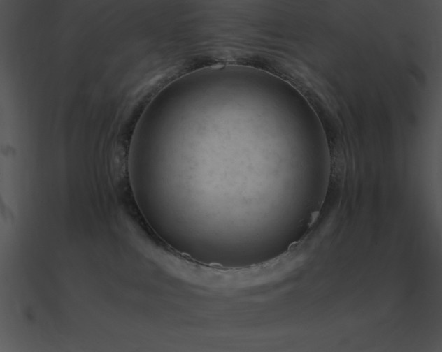 X0000090960043200708021425