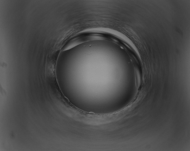 X0000090960045200708021425