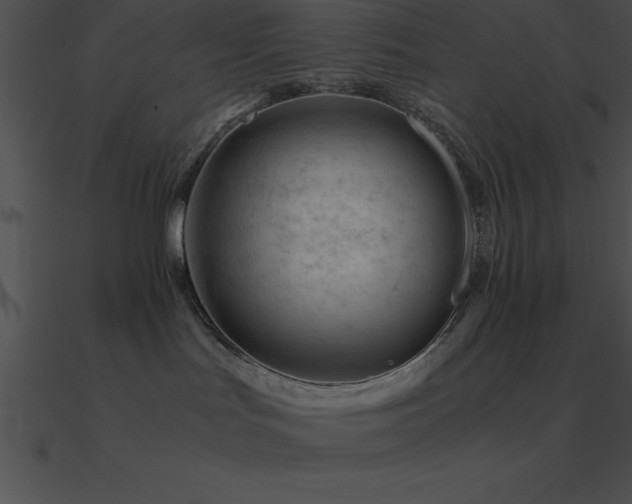 X0000090960047200708021425