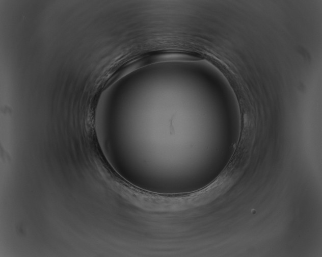 X0000090960048200708021425