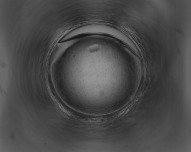 X0000090960049200708021424