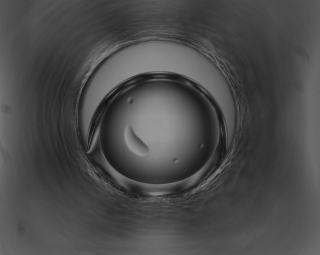 X0000090960050200708021424